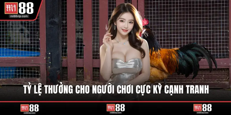 Tỷ lệ thưởng cho người chơi cực kỳ cạnh tranh